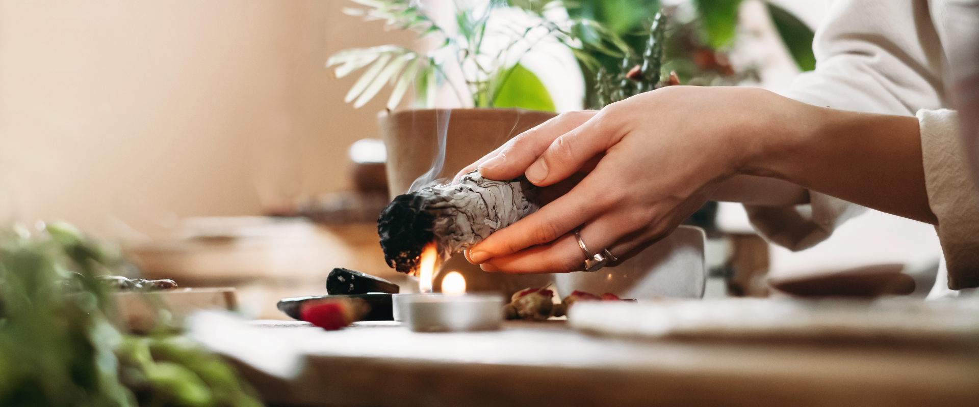 Smudging 101: How to Sage Your Home, Office, or Living Space – Soy